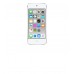 Apple iPod touch - digital player - Apple iOS 8